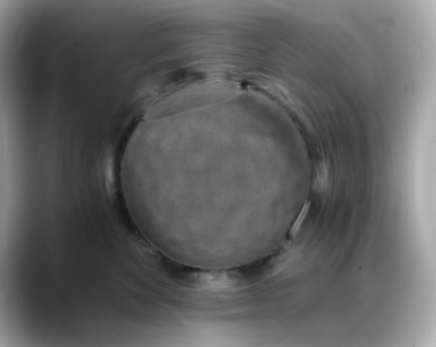 X0000088440524200706051250