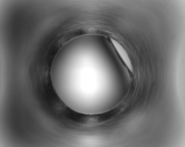 X0000088440525200706051250