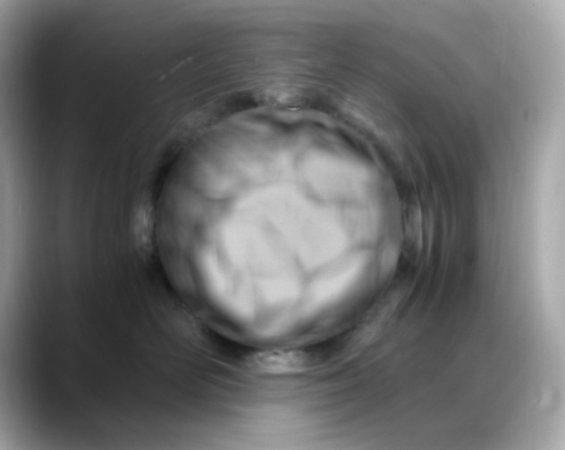 X0000088440526200706051250