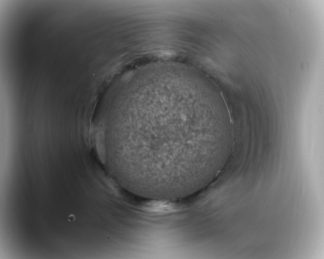 X0000088440528200706051250