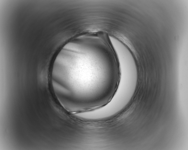 X0000088440530200706051250