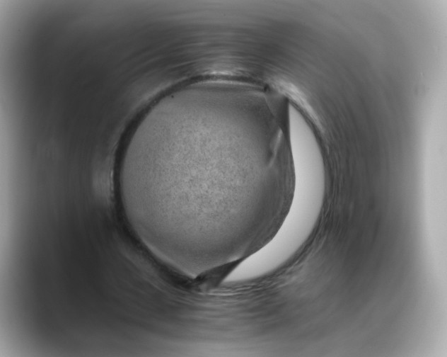 X0000088440531200706051250
