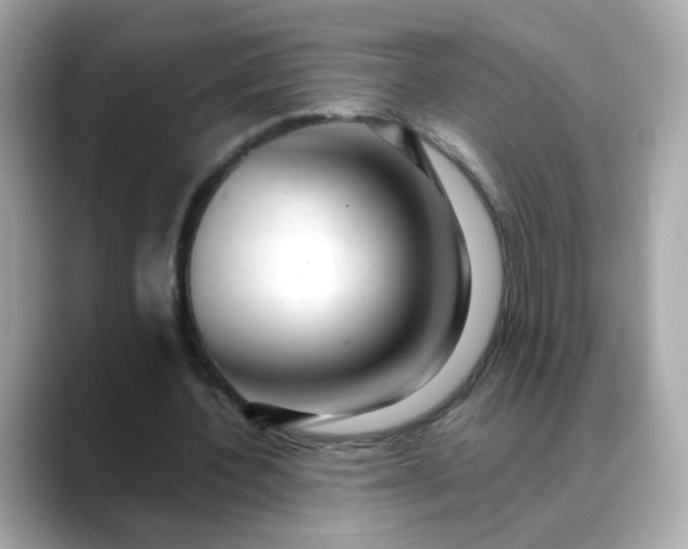 X0000088440532200706051250