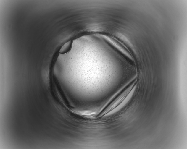 X0000088440535200706051250