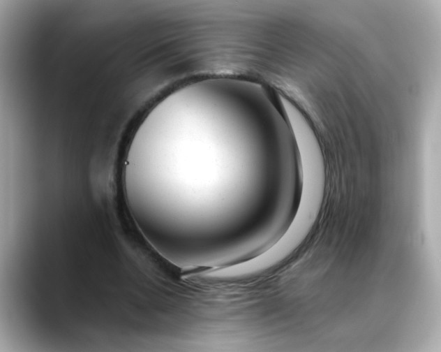 X0000088440536200706051250