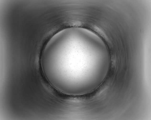 X0000088440538200706051250