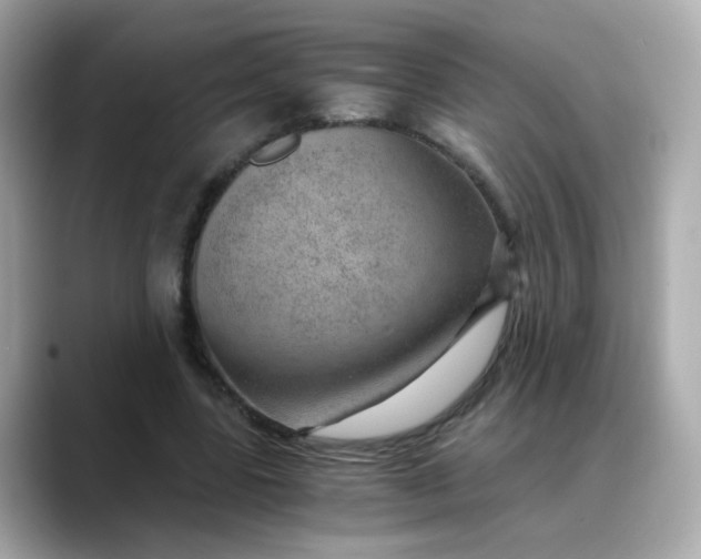 X0000088440539200706051250