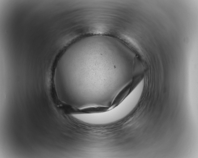 X0000088440540200706051250