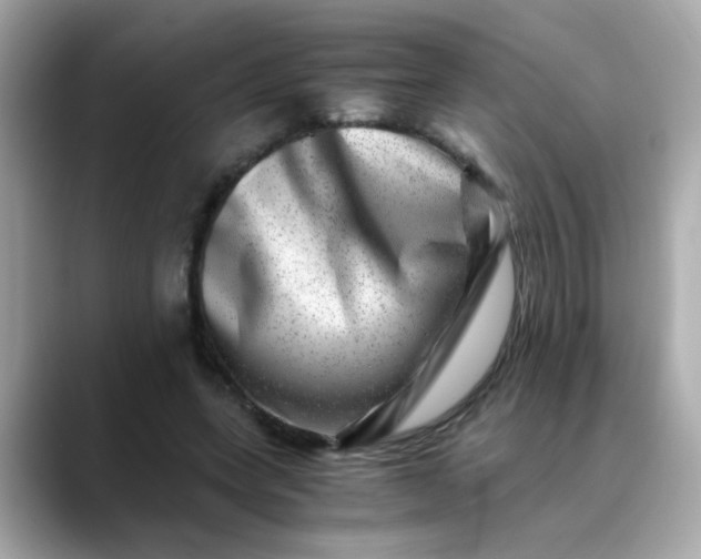 X0000088440543200706051250