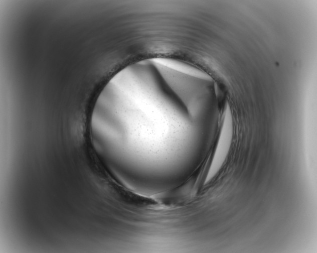 X0000088440544200706051250