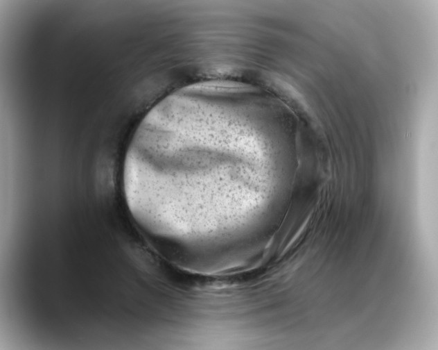 X0000088440546200706051250
