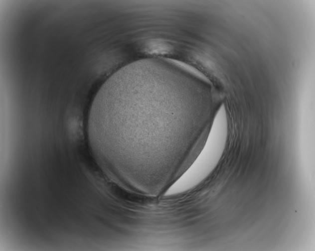 X0000088440547200706051250