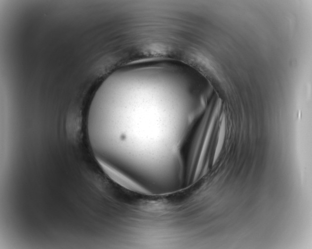 X0000088440548200706051250