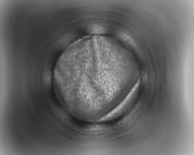 X0000088440549200706051250