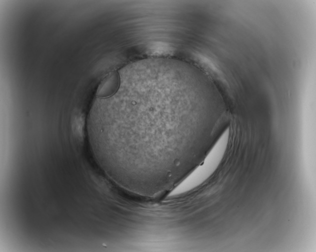 X0000088440550200706051250