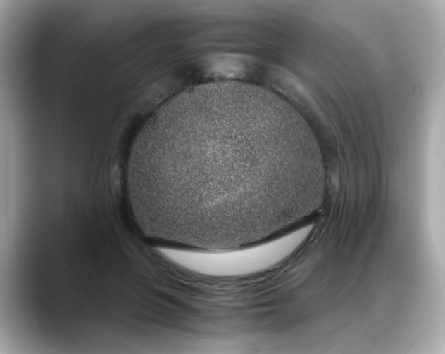 X0000088440551200706051250