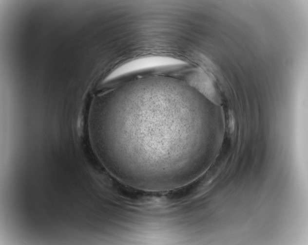 X0000088440552200706051250
