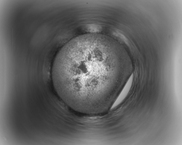 X0000088440553200706051250