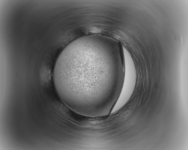 X0000088440555200706051250