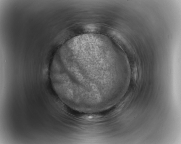 X0000088440557200706051250
