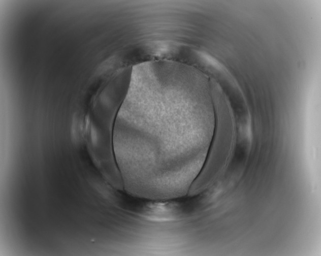 X0000088440558200706051250