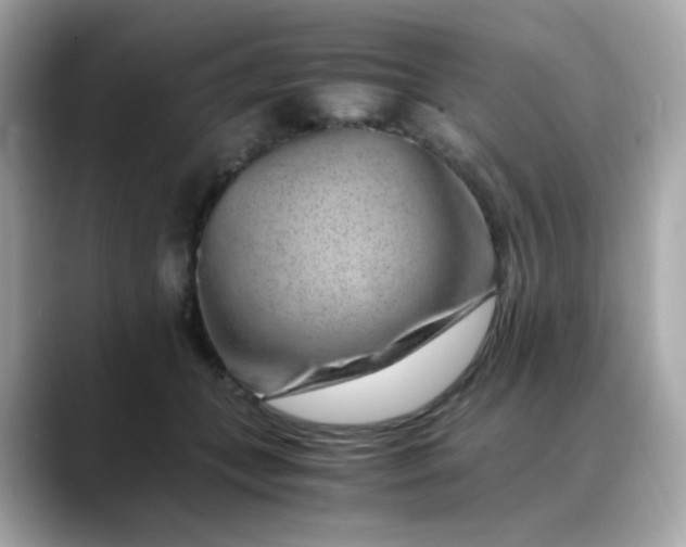 X0000088440559200706051250