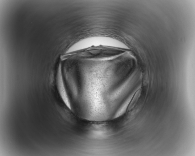X0000088440560200706051250