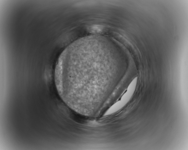 X0000088440561200706051250