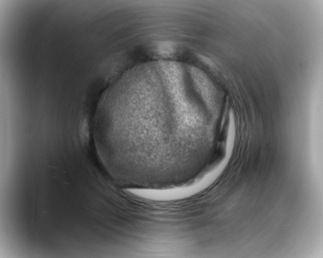 X0000088440562200706051250