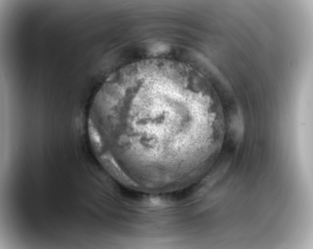 X0000088440565200706051250