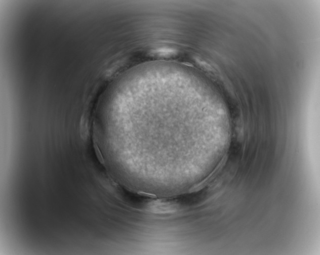 X0000088440568200706051250