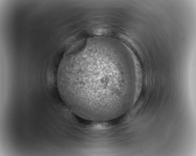 X0000088440569200706051250