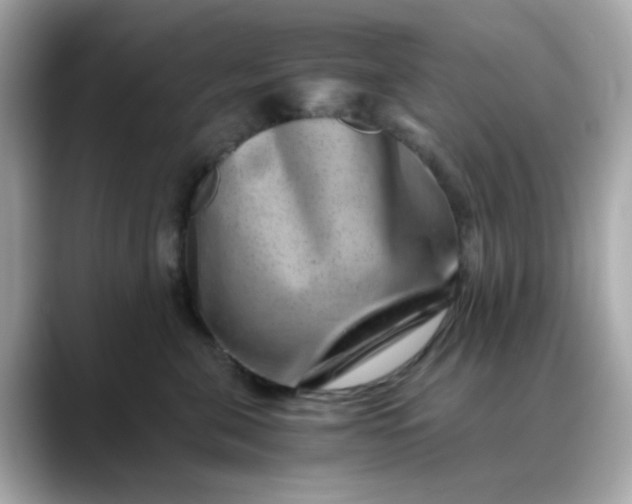 X0000088440571200706051250