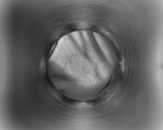X0000088440572200706051250