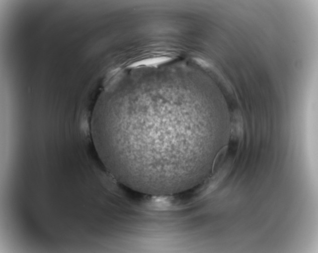 X0000088440573200706051250