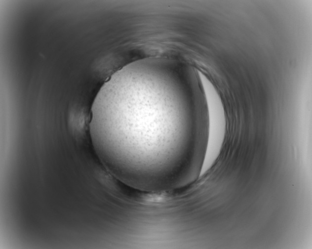 X0000088440574200706051250