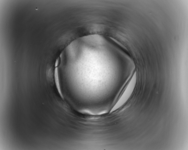 X0000088440575200706051250