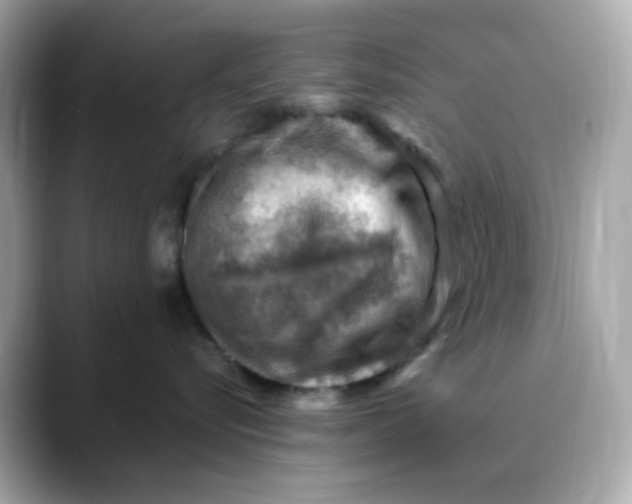X0000088440576200706051250