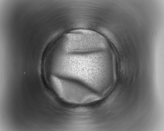 X0000088440578200706051250