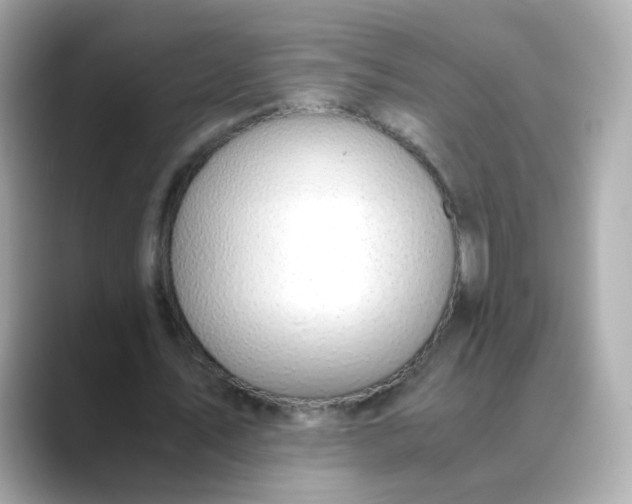 X0000088440579200706051250