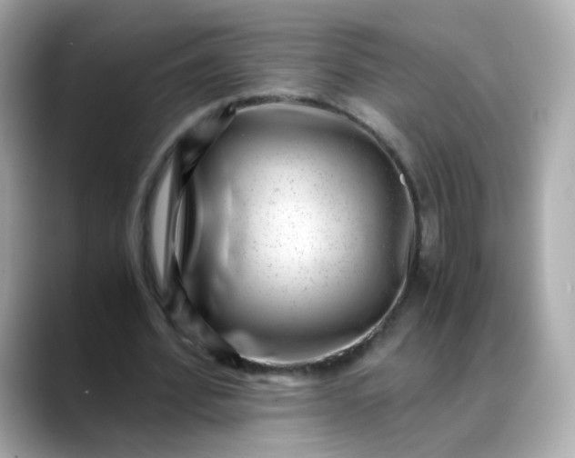X0000088440580200706051250