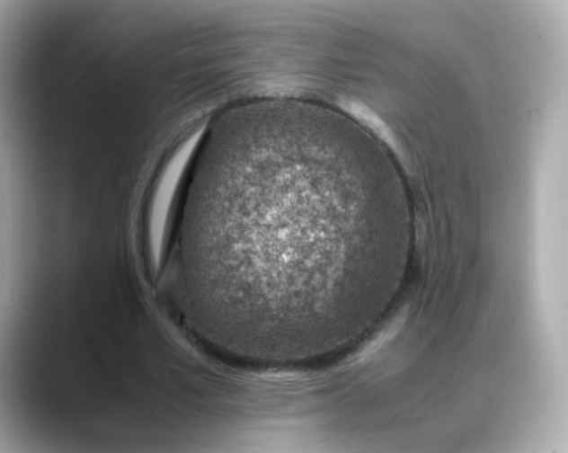 X0000088440581200706051250