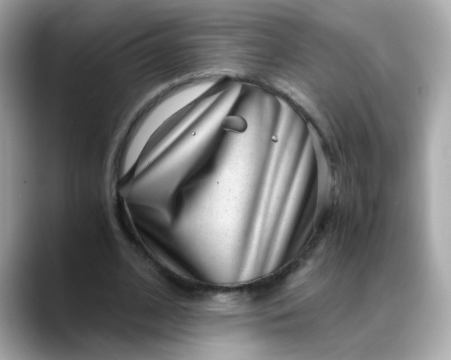 X0000088440584200706051250