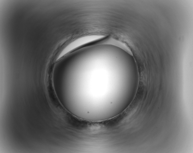 X0000088440587200706051249