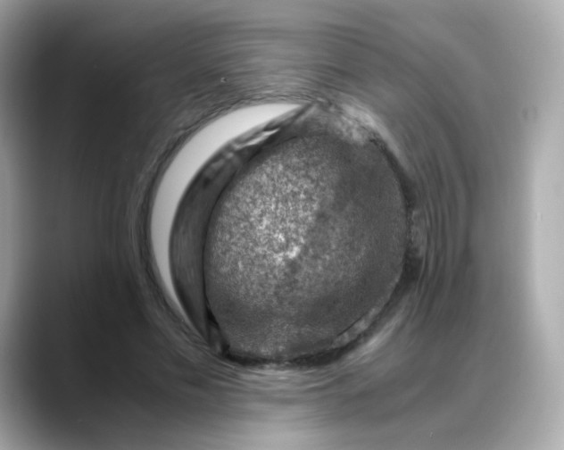 X0000088440589200706051249