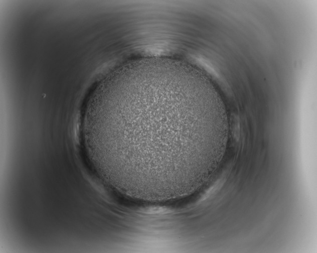 X0000088440590200706051249