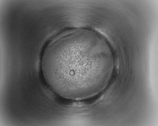 X0000088440591200706051249