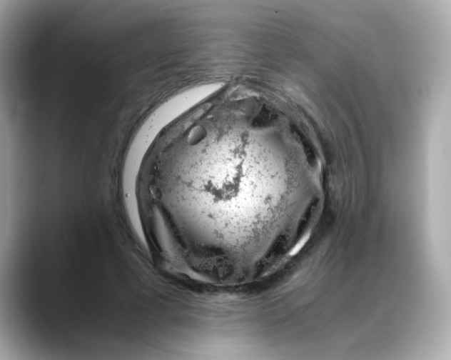 X0000088440593200706051249