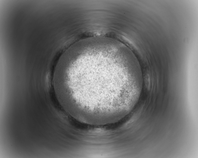 X0000088440594200706051249