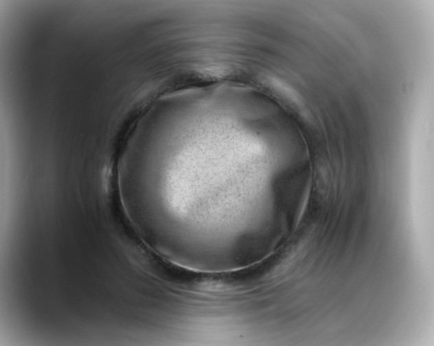 X0000088440596200706051249
